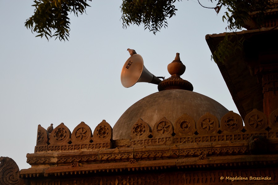 Sidi Saiyyad, Ahmedabad, Indie 2014 © Magdalena Brzezińska 