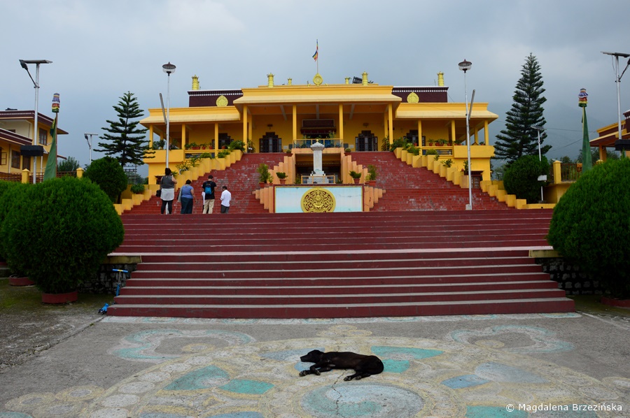 Gyuto Tantric Monastery 