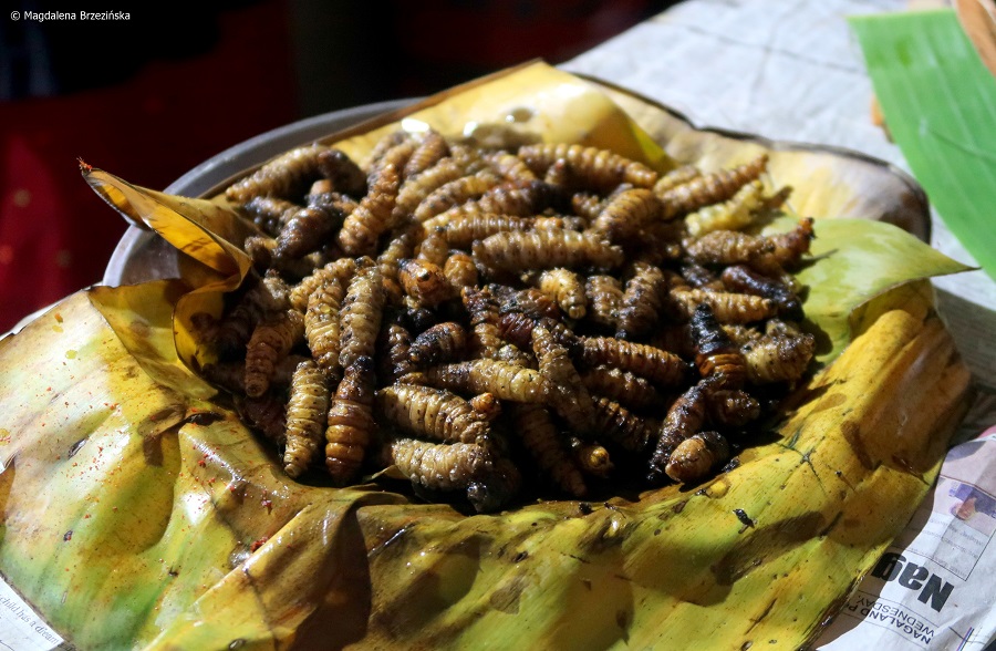 fot. Grillowane larwy jedwabnik © Magdalena Brzezińska, Nagaland, Indie, 2019